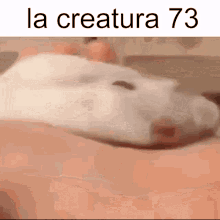 La Creatura La Creatura73 GIF - La Creatura La Creatura73 Sb737 GIFs