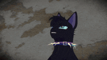 a black cat with a purple collar and spikes on its neck