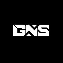 Gns GIF - Gns GIFs