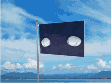 Soampbar Flag GIF - Soampbar Flag Nation GIFs
