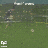 Morgan Morse Morgan Morse Ospreys GIF