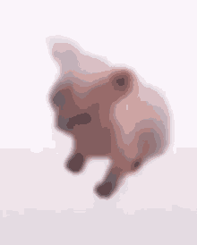 a blurred image of a pig walking on a white surface .