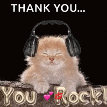 You Rock Cat GIF - You Rock Cat Thank You GIFs