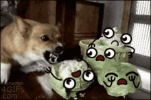 Dog Scared GIF - Dog Scared Monster GIFs