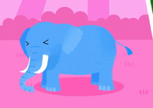 Elephant Elefante GIF - Elephant Elefante Cocô GIFs