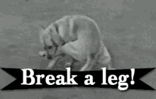 Break A Leg GIF - Breakaleg GIFs