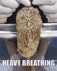 Honey Heavy Breathing GIF