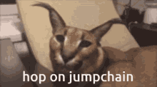 Floppa Jumpchain GIF - Floppa Jumpchain GIFs