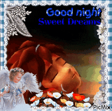 a picture of a girl sleeping with the words good night sweet dreams on the bottom
