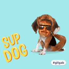 Supdog Supbro GIF - Supdog Supbro Sup Girl GIFs