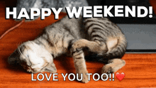 Have A Good Weekend Happy Weekend GIF - Have A Good Weekend Happy Weekend Cute Cat GIFs
