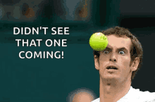 Andy Murray Tennis Ball GIF - Andy Murray Tennis Ball Stare GIFs