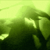 a shadow of a person in a green light