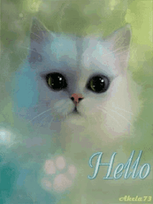 Cat Talks Hello GIF - Cat Talks Hello GIFs