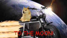 Doge Meme Doge Coin GIF - Doge Meme Doge Coin Doge GIFs