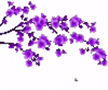 purple flower tree petals falling