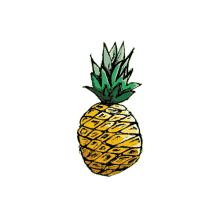 pineapple slice flash ptsd