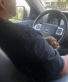 Dogs Are The Best GIF - Dogs Are The Best GIFs
