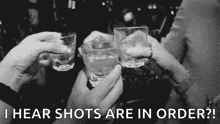 Shots Shots Cheers GIF - Shots Shots Cheers GIFs