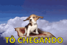 Beagle Tochegando Toindo Quase GIF - Beagle Im Getting There Im Going GIFs