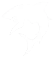 a white background with a few lines on it .