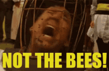 Not The Bees GIF - Not The Bees GIFs