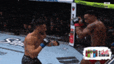 two men are fighting in a cage with ufc written on the gloves