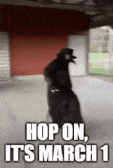 Hop On March 1 GIF - Hop On March 1 Dancing Plage Docter GIFs