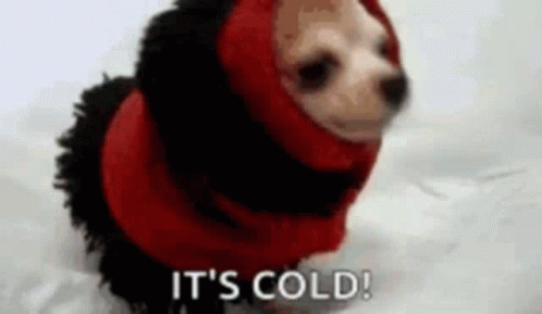 its-cold.gif