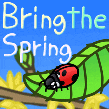 Spring Happy Spring GIF - Spring Happy Spring First Day Of Spring GIFs