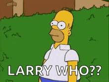 homer simpson from the simpsons is standing in a grassy field and asking larry who ?