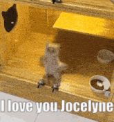 Love You Jocelyne GIF - Love You Jocelyne Cute GIFs