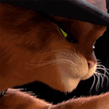 What Was That Puss In Boots GIF - What Was That Puss In Boots Puss In Boots The Last Wish GIFs