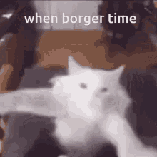 Borger When GIF - Borger When Time GIFs