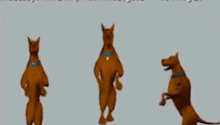 scooby doo from the scooby doo cartoon is looking at the camera with a black background .