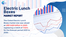 Electric Lunch Boxes Market Report 2024 GIF