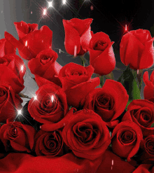 Flowers Red Roses GIF - Flowers Red Roses Glitter GIFs