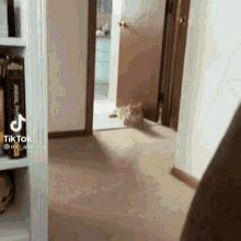 Cat Jumpscare GIF - Cat Jumpscare Attack GIFs