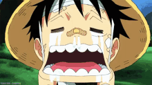 One Piece Crying GIF - One Piece Crying Sad GIFs