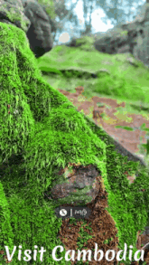 a picture of a mossy rock with the words visit cambodia on it