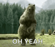bear dance dancing lit get it