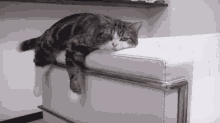 Lazy Cat GIF - Lazy Cat GIFs