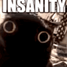 Jinx Cat Insanity GIF - Jinx Cat Insanity Polygon Donut GIFs