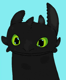 httyd how to train your dragon toothless night fury confused