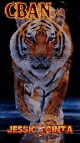 a painting of a tiger with the words cban jessica cinta below it