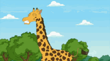 Giraffity  GIF - Giraffe Gwen Giggity GIFs