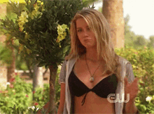 a woman in a bikini is standing in front of a tree with a cw logo on the bottom