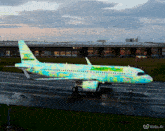 a colorful airplane that says animal rights on the side