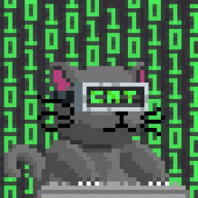 Cat Meme Cats Love GIF - Cat Meme Cats Love Crypto GIFs