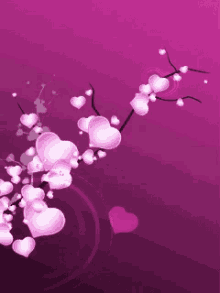 Hearts Pink GIF - Hearts Pink Purple GIFs